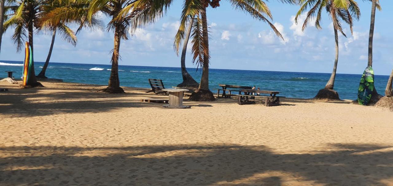 Puntacana Ecolodge Lavacama Beach Costa Arrecife By Aa Crypto Group Punta Cana Exterior photo